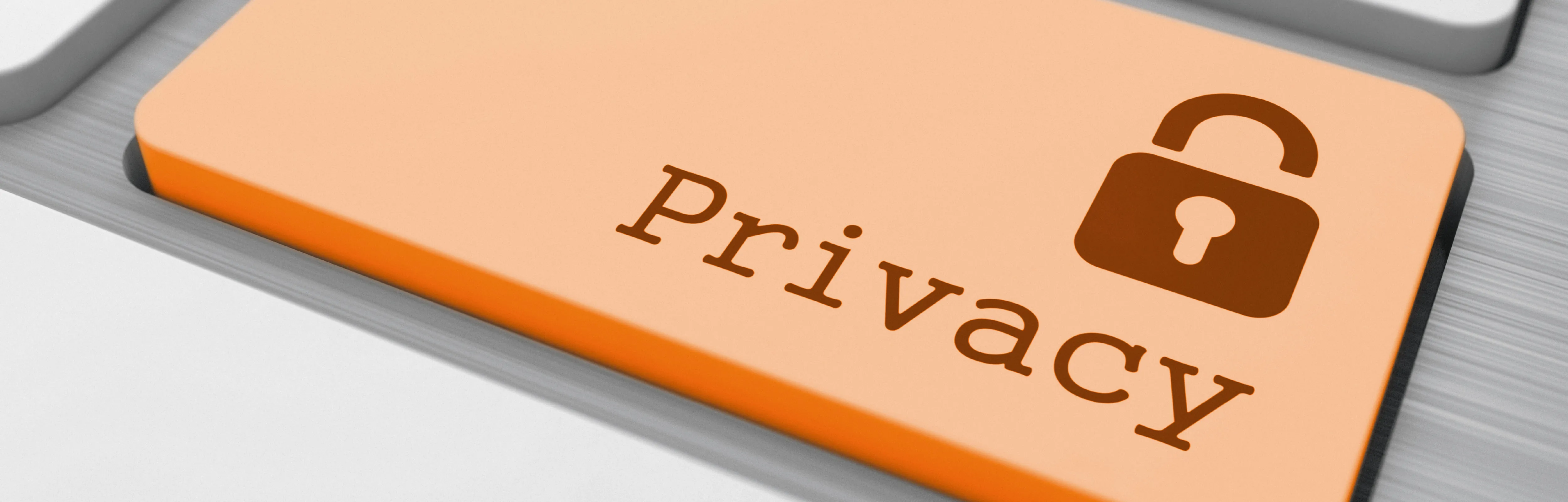 Privacy Policy icon